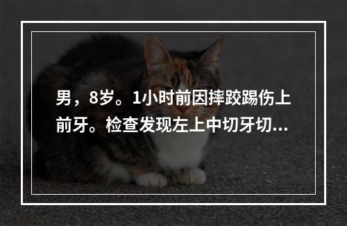 男，8岁。1小时前因摔跤踢伤上前牙。检查发现左上中切牙切角缺