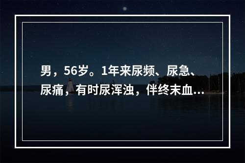 男，56岁。1年来尿频、尿急、尿痛，有时尿浑浊，伴终末血尿，