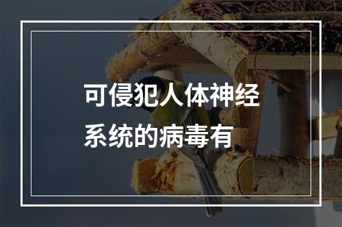 可侵犯人体神经系统的病毒有