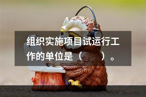 组织实施项目试运行工作的单位是（　　）。