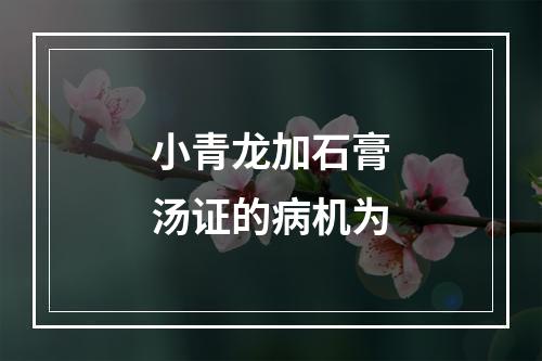 小青龙加石膏汤证的病机为