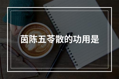 茵陈五苓散的功用是