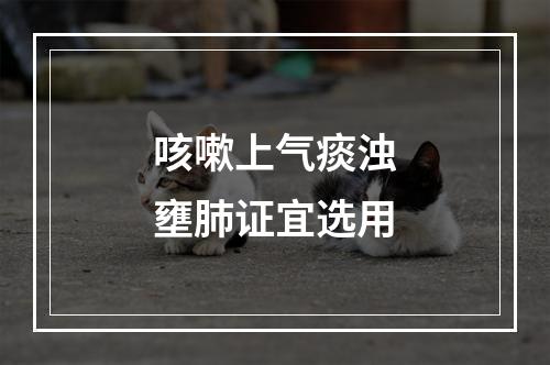 咳嗽上气痰浊壅肺证宜选用