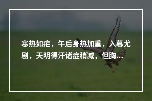 寒热如疟，午后身热加重，入暮尤剧，天明得汗诸症稍减，但胸腹灼