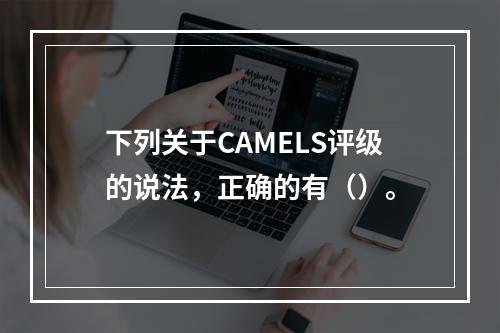 下列关于CAMELS评级的说法，正确的有（）。