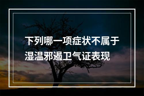 下列哪一项症状不属于湿温邪遏卫气证表现