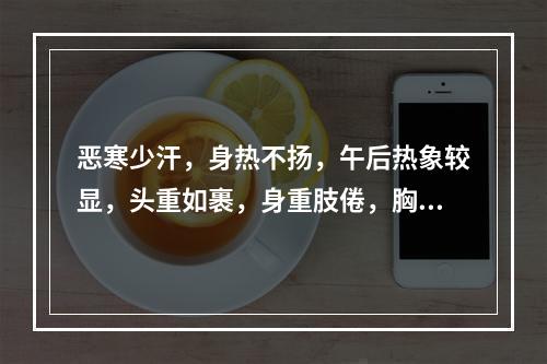 恶寒少汗，身热不扬，午后热象较显，头重如裹，身重肢倦，胸闷脘