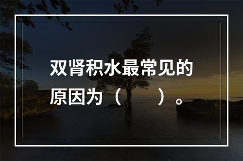 双肾积水最常见的原因为（　　）。