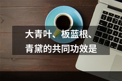 大青叶、板蓝根、青黛的共同功效是