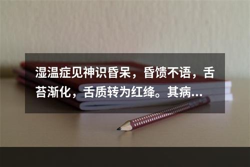 湿温症见神识昏呆，昏馈不语，舌苔渐化，舌质转为红绛。其病机为