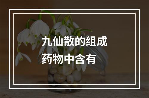 九仙散的组成药物中含有