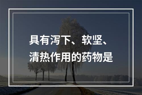 具有泻下、软坚、清热作用的药物是