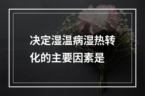 决定湿温病湿热转化的主要因素是