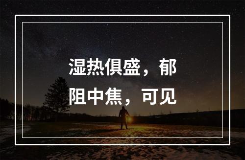 湿热俱盛，郁阻中焦，可见