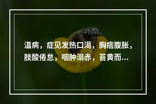 温病，症见发热口渴，胸痞腹胀，肢酸倦怠，咽肿溺赤，苔黄而腻，