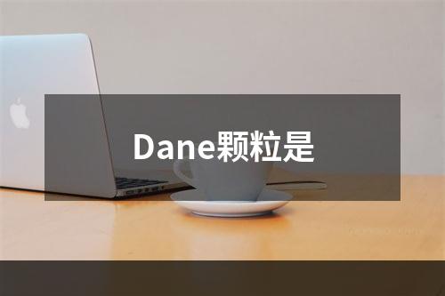 Dane颗粒是