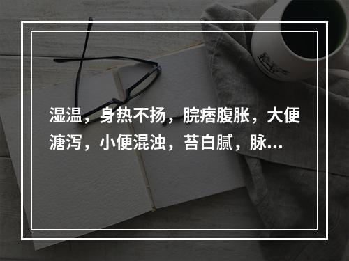 湿温，身热不扬，脘痞腹胀，大便溏泻，小便混浊，苔白腻，脉濡缓