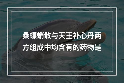 桑螵蛸散与天王补心丹两方组成中均含有的药物是