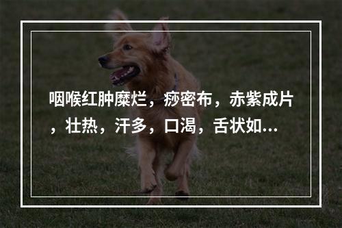 咽喉红肿糜烂，痧密布，赤紫成片，壮热，汗多，口渴，舌状如杨梅