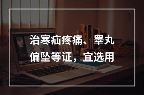 治寒疝疼痛、睾丸偏坠等证，宜选用