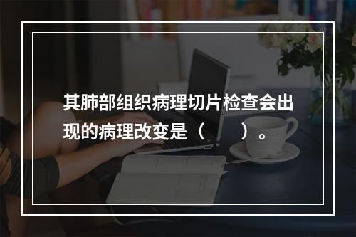 其肺部组织病理切片检查会出现的病理改变是（　　）。