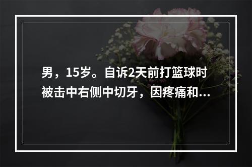 男，15岁。自诉2天前打篮球时被击中右侧中切牙，因疼痛和影响