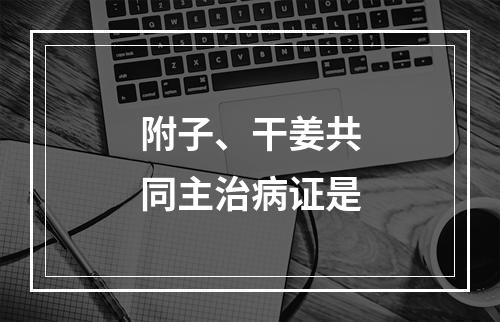 附子、干姜共同主治病证是