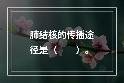 肺结核的传播途径是（　　）。