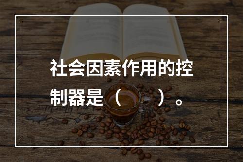 社会因素作用的控制器是（　　）。