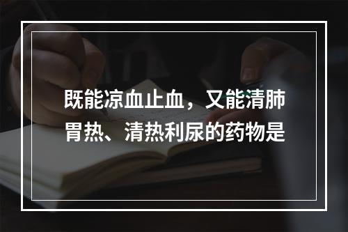 既能凉血止血，又能清肺胃热、清热利尿的药物是