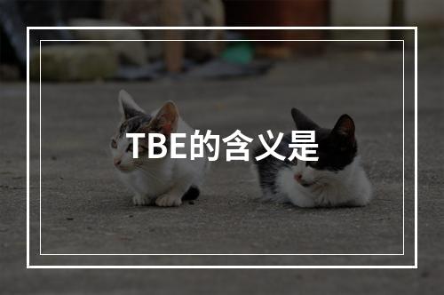 TBE的含义是