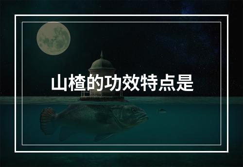 山楂的功效特点是