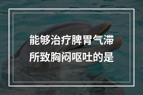 能够治疗脾胃气滞所致胸闷呕吐的是