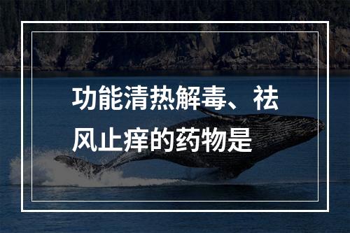 功能清热解毒、祛风止痒的药物是