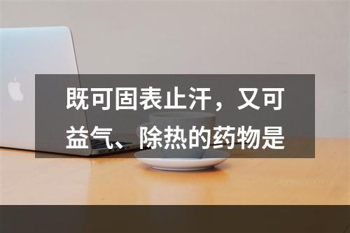 既可固表止汗，又可益气、除热的药物是