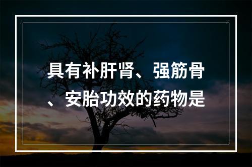 具有补肝肾、强筋骨、安胎功效的药物是