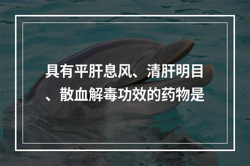 具有平肝息风、清肝明目、散血解毒功效的药物是