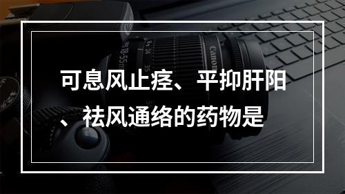 可息风止痉、平抑肝阳、祛风通络的药物是