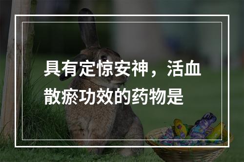 具有定惊安神，活血散瘀功效的药物是