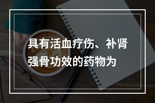 具有活血疗伤、补肾强骨功效的药物为