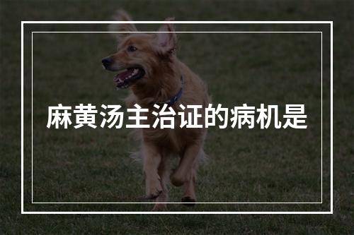 麻黄汤主治证的病机是