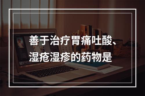 善于治疗胃痛吐酸、湿疮湿疹的药物是