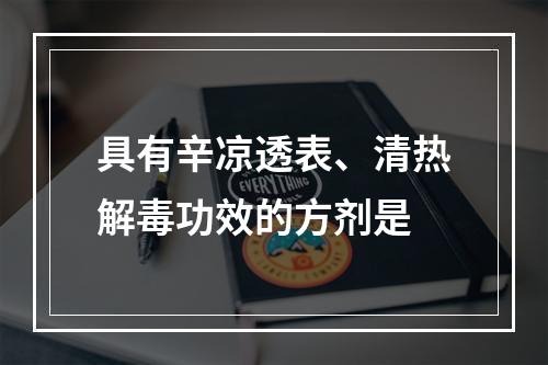 具有辛凉透表、清热解毒功效的方剂是