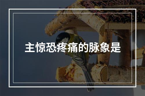 主惊恐疼痛的脉象是