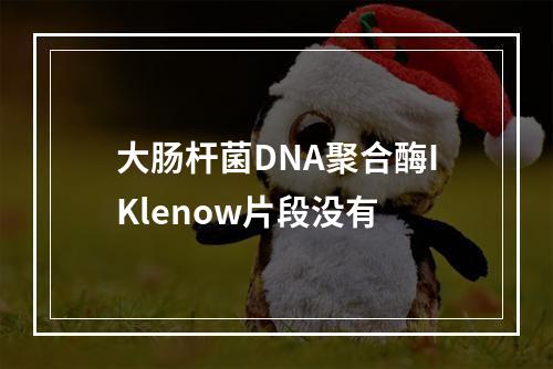 大肠杆菌DNA聚合酶IKlenow片段没有