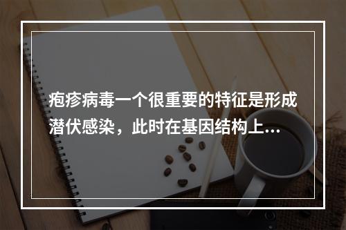 疱疹病毒一个很重要的特征是形成潜伏感染，此时在基因结构上发生