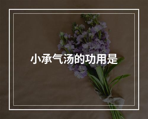 小承气汤的功用是