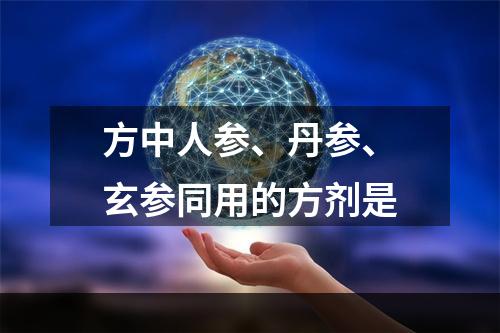 方中人参、丹参、玄参同用的方剂是