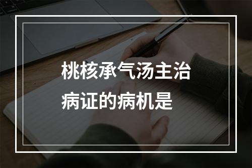 桃核承气汤主治病证的病机是