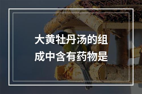 大黄牡丹汤的组成中含有药物是